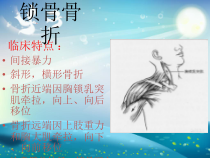 四肢骨折及护理课件