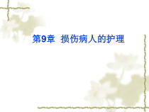 损伤病人的护理ppt幻灯片课件