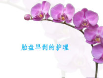 胎盘早剥护理PPT课件