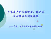 助产士专业护士规范化培训方案