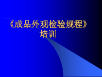 成品外观检验规程培训