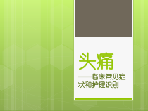 头痛常见与护理课件