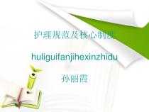 护理规范及核心制度新护士培训ppt