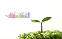 中国某银行风险报告制度培训