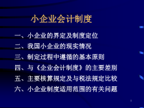 小规模企业会计制度培训资料(ppt 71)