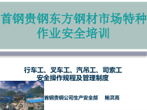 XXXX年3月17日首贵公司行车工叉车工安全操作规程