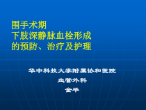 围手术期深静脉血栓护理金毕ppt课件