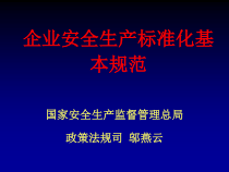 企业安全标准化通用规范(标准)