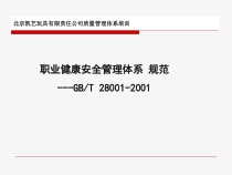 职业健康安全管理体系 规范