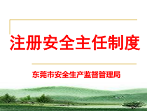 注册安全主任制度