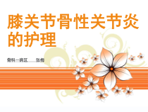 膝关节骨性关节炎的护理课件
