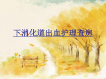下消化道出血护理查房课件