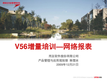 V56新特性培训_网络报表