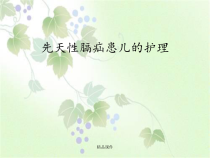 先天性膈疝患儿的护理课件