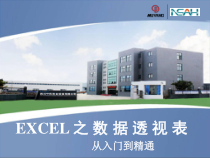 国企内部数据透视表培训