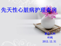 先天性心脏病护理查房PPT参考幻灯片课件