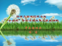 国有企业“小金库”专项治理报表培训-Slide1