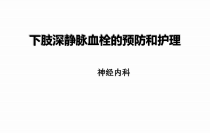 下肢深静脉血栓的预防及护理ppt课件