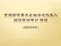 市属国有重点企业法定代表人经济责任审计培训