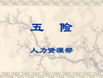 五险培训课件_图表模板_PPT模板_实用文档