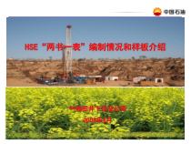 中石油两书一表培训课件