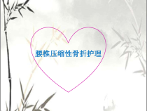 腰椎压缩性骨折护理查房-PPT课件