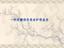 一例脊髓损伤患者的护理查房-课件
