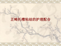 医学正畸托槽粘结的护理配合PPT培训课件