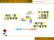 异常分娩产妇的护理课件
