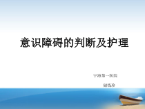 意识障碍的判断及护理PPT参考幻灯片课件