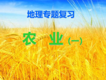《第二节 农业》PPT课件2-鲁教版（五四制）地理七年级上册