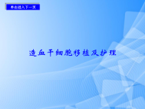 造血干细胞移植及护理PPT