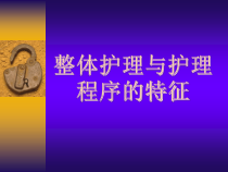 整体护理护理程序课件