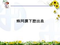 蛛网膜下腔出血的护理ppt课件