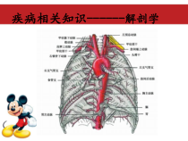 主动脉夹层护理查房p课件