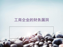 工商企业的财务漏洞