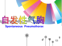 自发性气胸的护理ppt课件