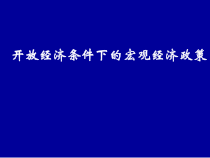 开放经济下的宏观经济政策（上）