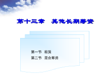 第十三章其他长期筹资