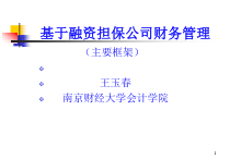 王玉春担保公司《财务