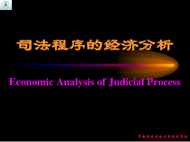 第五章 司法程序的经济分析