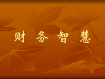 财务智慧