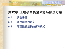 第六章融资最新版