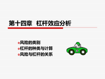 财务管理第十四章