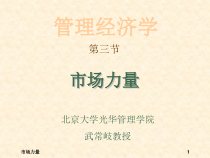 北大光华武常岐-管理经济学