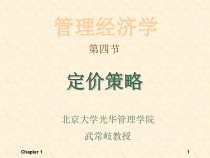 北大光华武常岐-管理经济学5