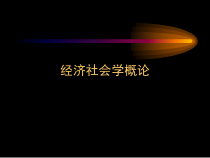 经济社会学概论