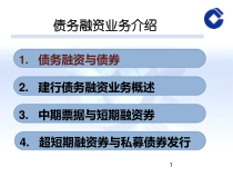 债务融资工具介绍(某银行)