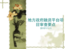 政府融资平台审查要点XXXX1116