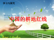 《学习与探究 中国的耕地红线》PPT课件1-鲁教版（五四制）地理七年级上册